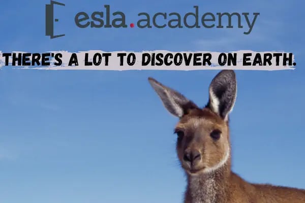Esla Academy - Resim 1