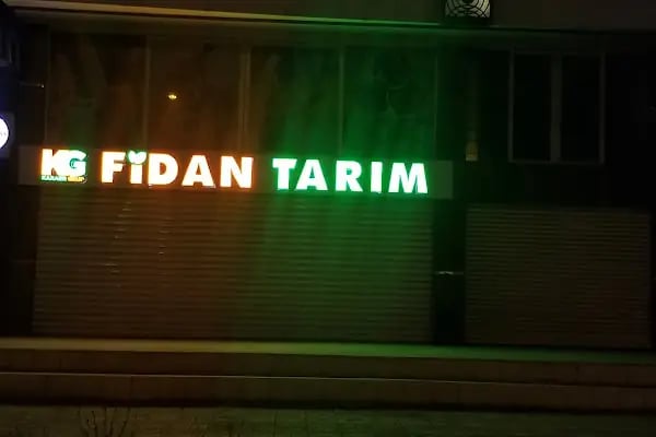 Feyzi Timur - Resim 8