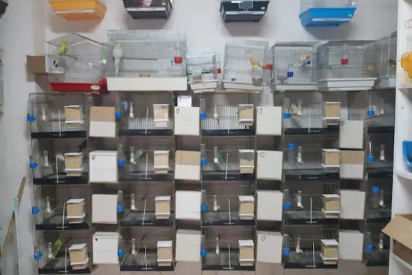 uğurlu pet shop - Resim 20