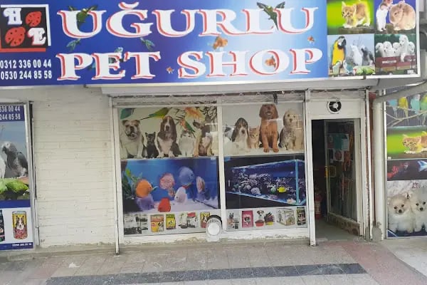 uğurlu pet shop - Resim 7
