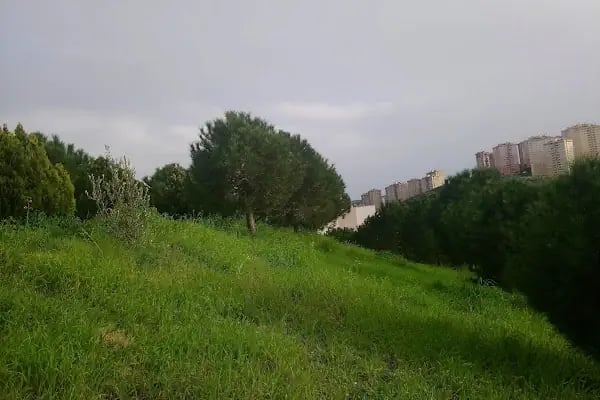 Meşale Öğretmenler Sitesi - Resim 10