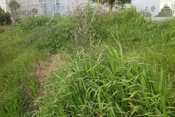 Meşale Öğretmenler Sitesi - Resim 7