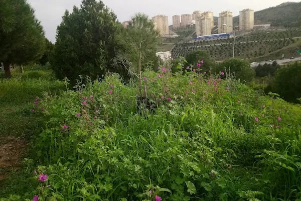 Meşale Öğretmenler Sitesi - Resim 9
