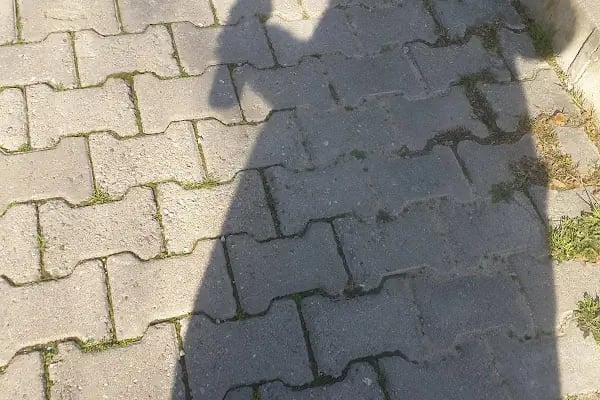 İzmir Büyükşehir Belediyesi Vali Parkı - Resim 2
