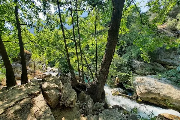 Yazılı Kanyon Tabiat Parkı - Resim 19