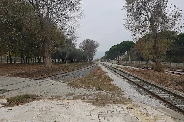 Sarayköy - Resim 15