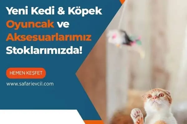 Safari Evcil Toptan Evcil Hayvan Malzemeleri - Resim 19