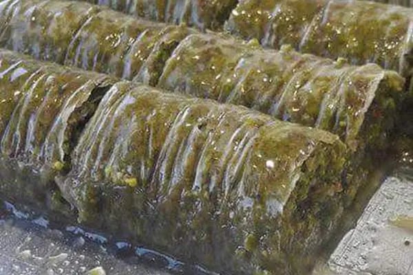 Baklavacı Şemsettin AKÇAKALE - Resim 16