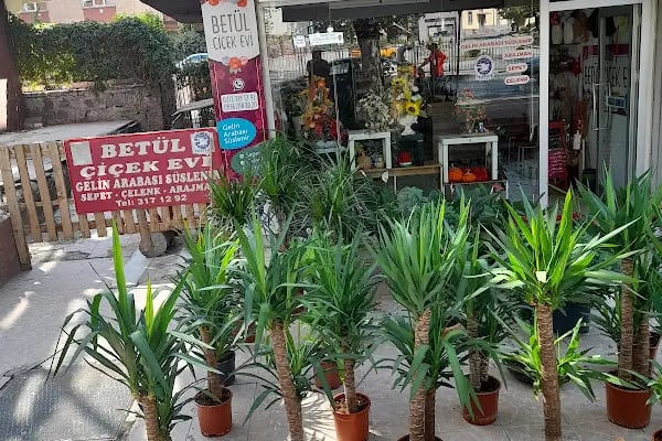 Betül Çiçek Evi - Resim 17