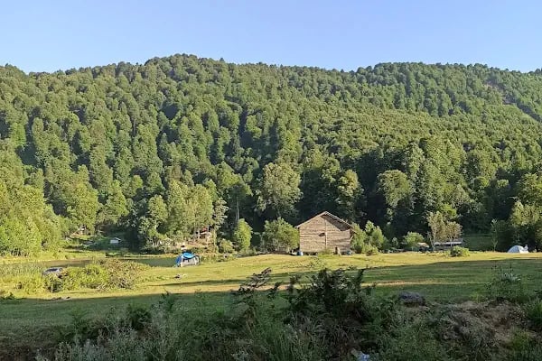 Çamlıca Gölü - Resim 4