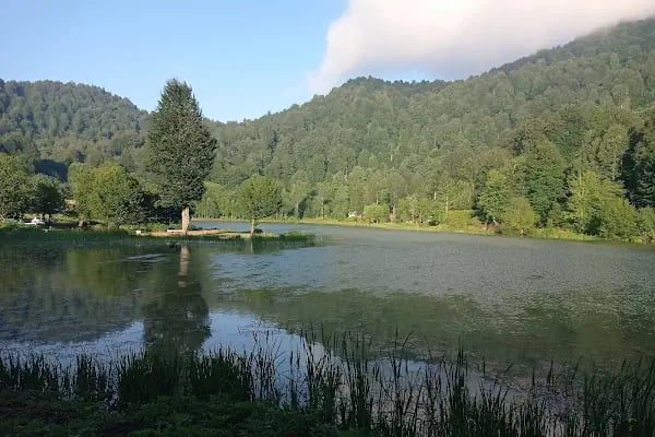 Çamlıca Gölü - Resim 2