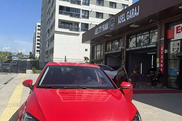 Asel Oto Yıkama - Resim 11