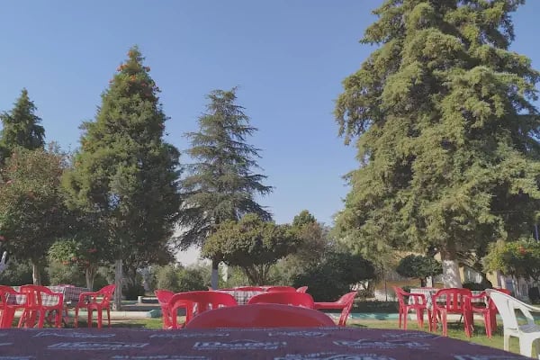 Çelik Çay Bahçesi - Resim 4