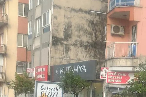 Starım Çiçekçilik - Resim 3