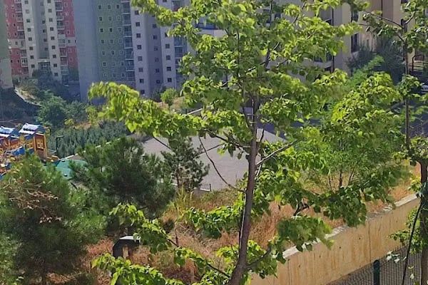 Kuzeykent Konutları - Resim 10