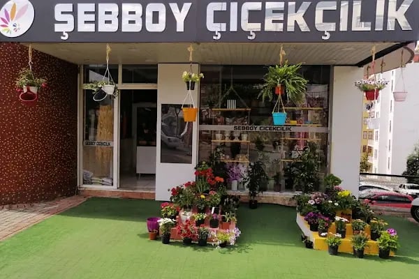 ŞEBBOY ÇİÇEKÇİLİK - Resim 2