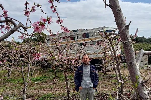 Mersin Mert Çiçekçilik - Resim 19