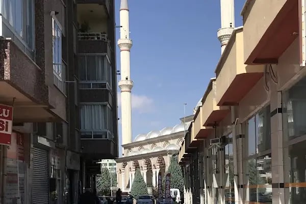 Selçuklu Merkez Cami - Resim 10
