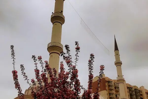 Selçuklu Merkez Cami - Resim 14