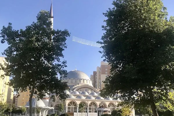 Selçuklu Merkez Cami - Resim 6