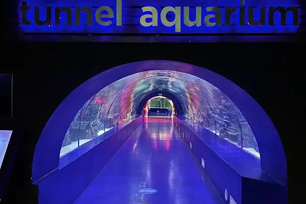 Antalya Aquarium - Resim 10