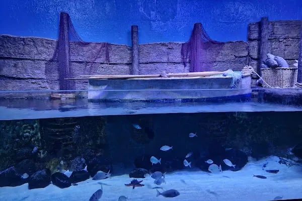 Antalya Aquarium - Resim 11