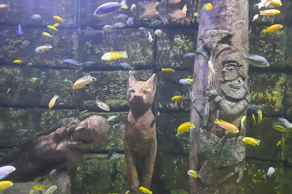 Antalya Aquarium - Resim 6