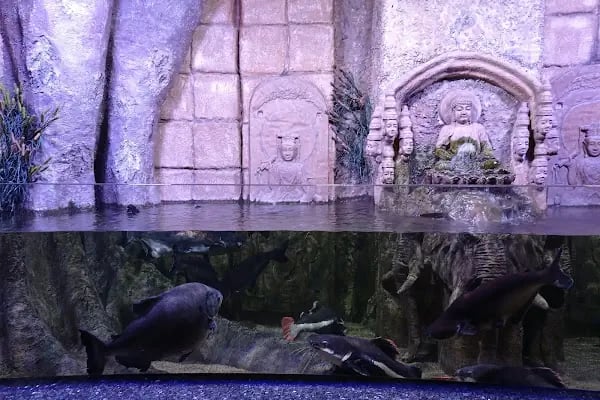 Antalya Aquarium - Resim 16