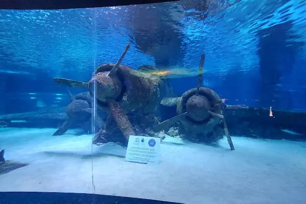 Antalya Aquarium - Resim 5