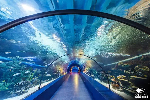 Antalya Aquarium - Resim 3