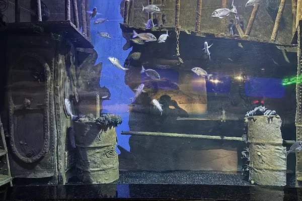 Antalya Aquarium - Resim 19