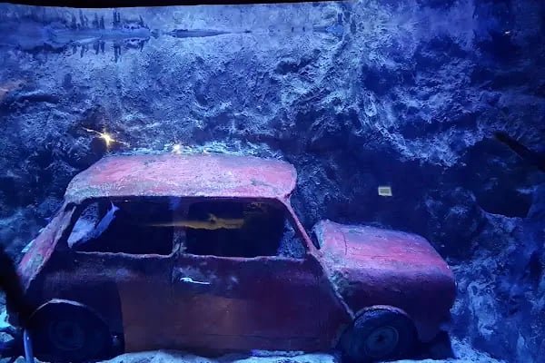 Antalya Aquarium - Resim 8
