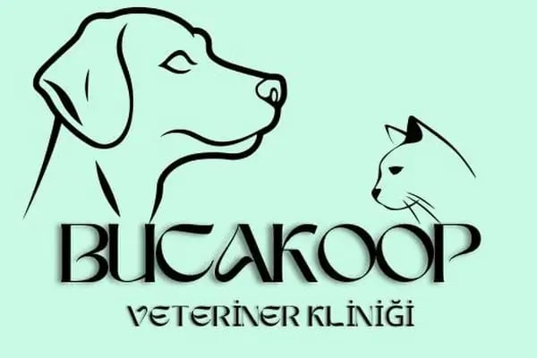 BUCAKOOP VETERİNER KLİNİĞİ - Resim 7