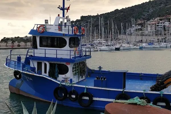 Finike Liman Başkanlığı - Resim 13