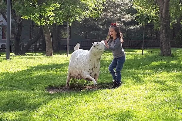 Şafaktepe Parkı - Resim 14