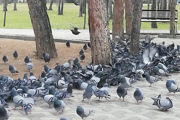 Şafaktepe Parkı - Resim 3