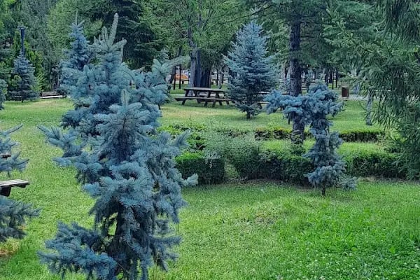 Şafaktepe Parkı - Resim 16