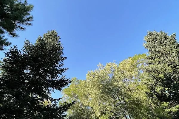 Şafaktepe Parkı - Resim 19