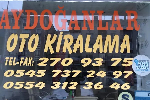 AYDOĞANLAR OTO KİRALAMA - Resim 11