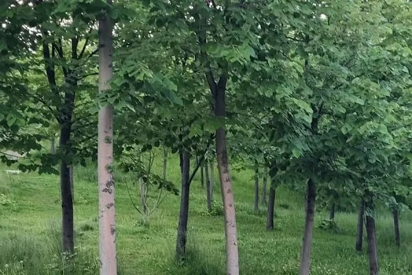 Kuzeykent Toki 10-2 2L Blok - Resim 7