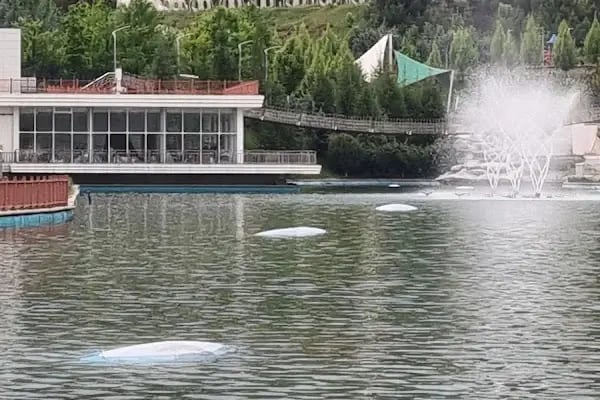 Kuzeykent Toki 10-2 2L Blok - Resim 2