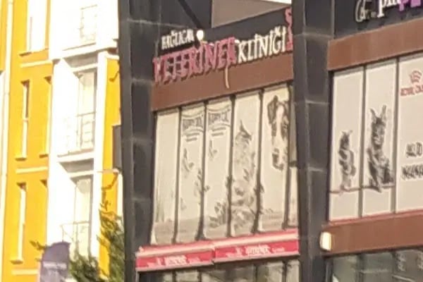 Bağlıca Veteriner Kliniği - Resim 8