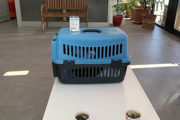 Bağlıca Veteriner Kliniği - Resim 12