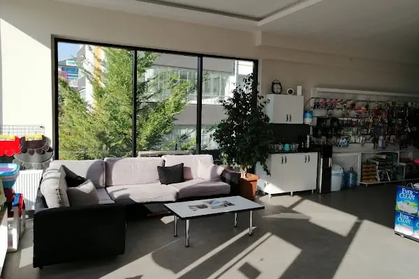 Bağlıca Veteriner Kliniği - Resim 4