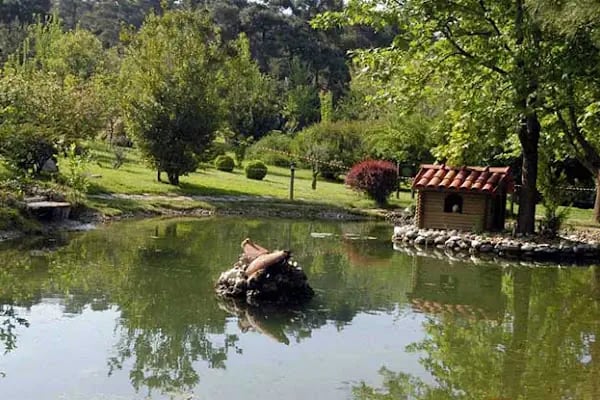 Denizli Büyükşehir Belediyesi Çamlık Parkı - Resim 2