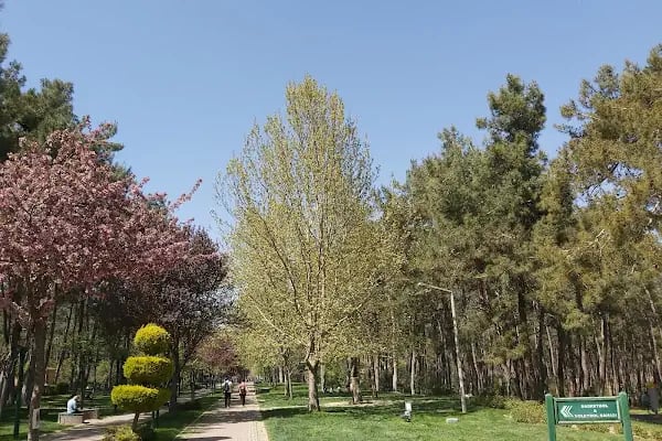 Denizli Büyükşehir Belediyesi Çamlık Parkı - Resim 4