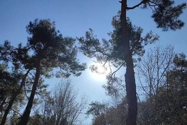 Denizli Büyükşehir Belediyesi Çamlık Parkı - Resim 5