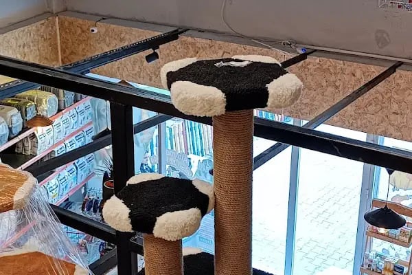 Deva Pet Market (Türkmenbaşı Şube) - Resim 3