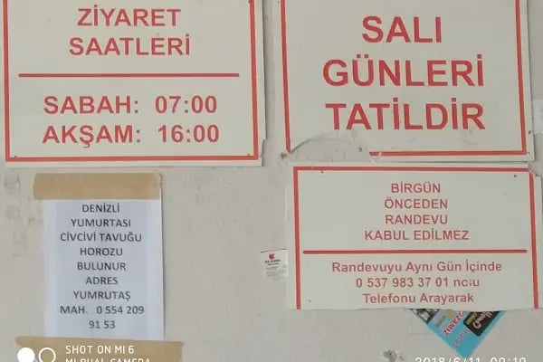 Acıpayamlı Olçum - Resim 5