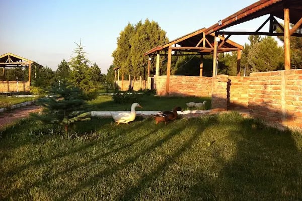 Kızılören Orman İçi Restoran - Et Mangal - Resim 6